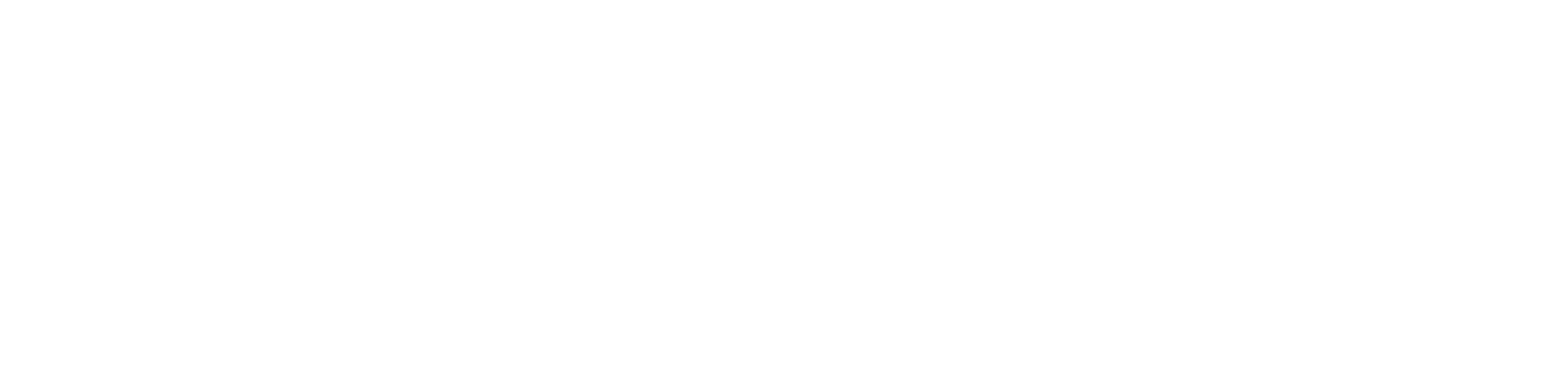 替代方案有限公司